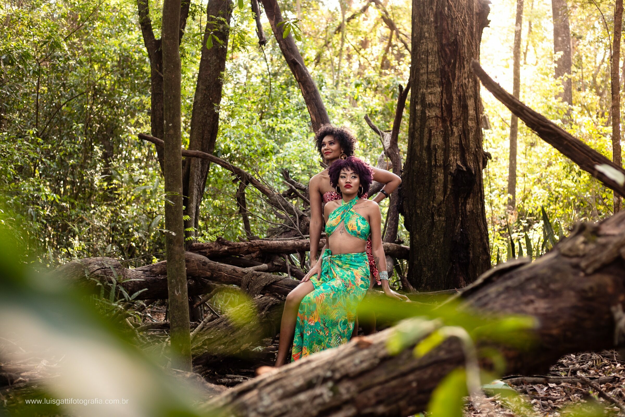 Foto de Luis Gatti Fotografia 15