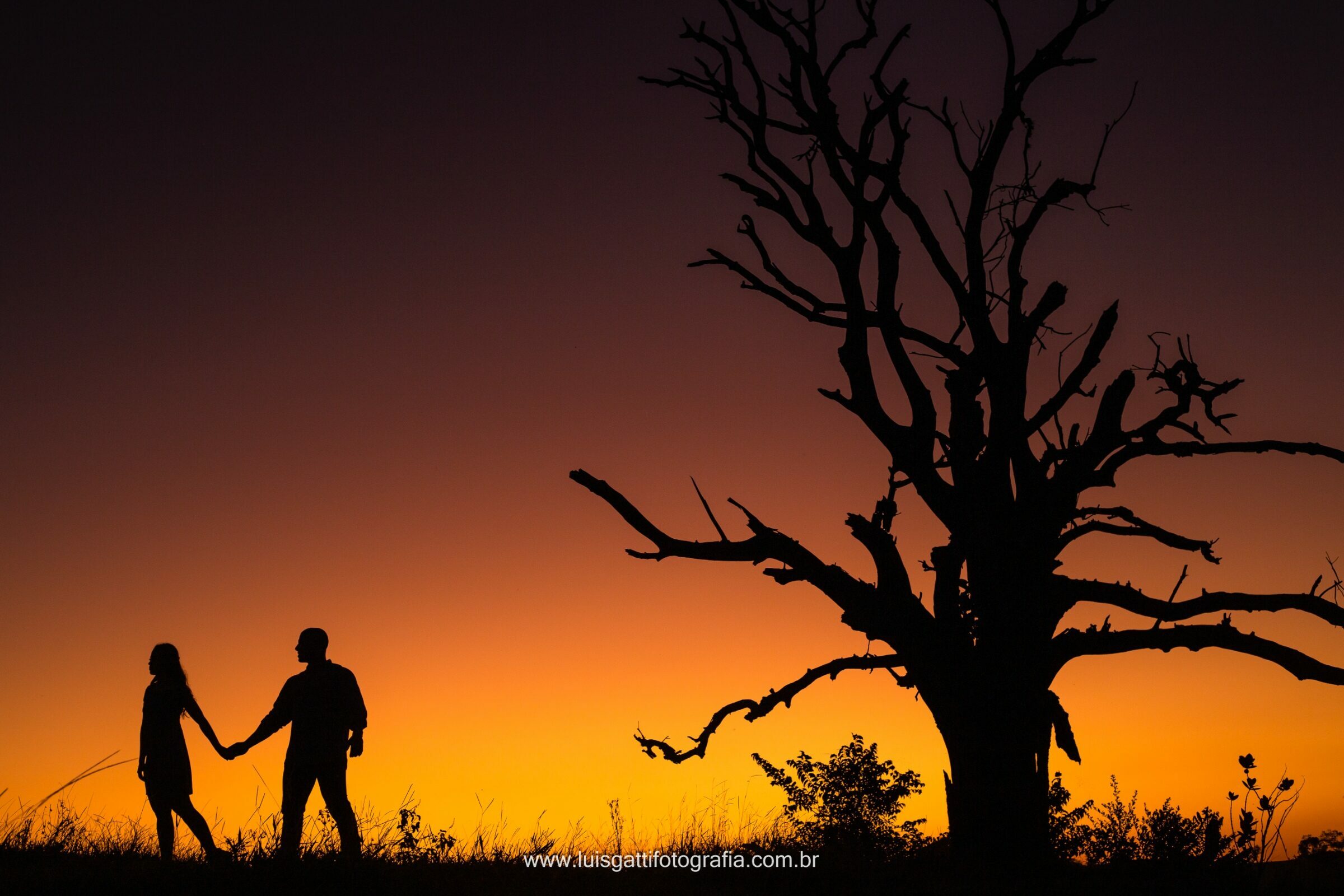 Foto de Luis Gatti Fotografia 2